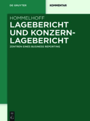 cover image of Lagebericht und Konzernlagebericht